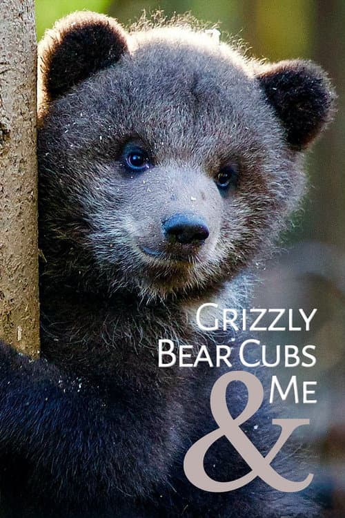 Grizzly Bear Cubs and Me afişi