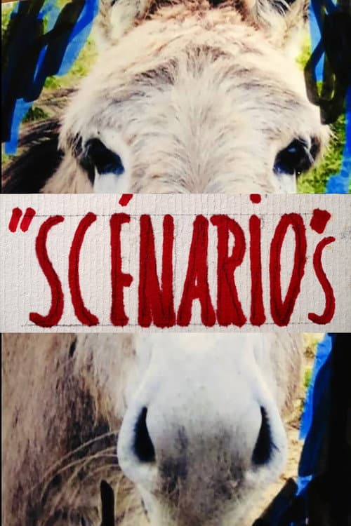 Scénarios afişi