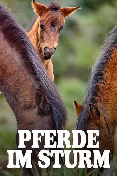 Pferde im Sturm - Das wilde Herz Sardiniens afişi