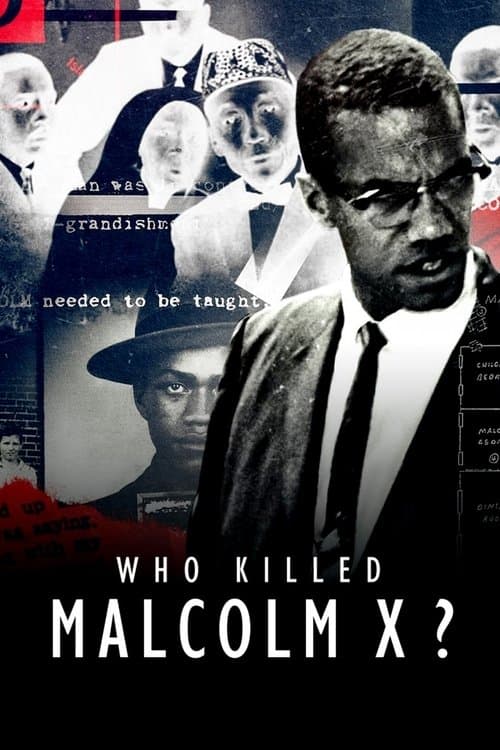 Who Killed Malcolm X? afişi