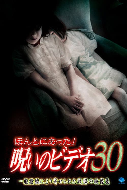 ほんとにあった! 呪いのビデオ 30 afişi