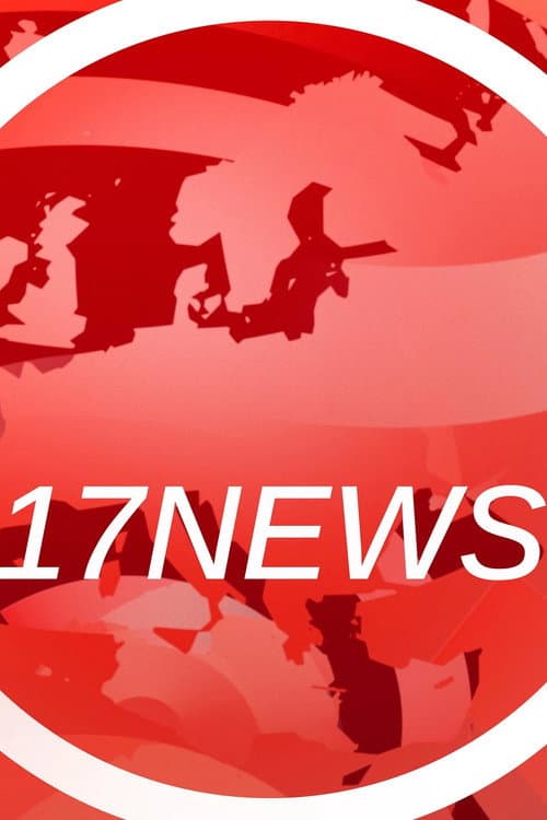 17 News afişi