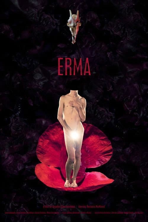 Erma afişi