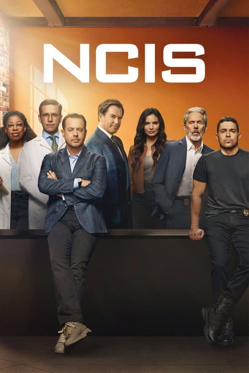 NCIS afişi