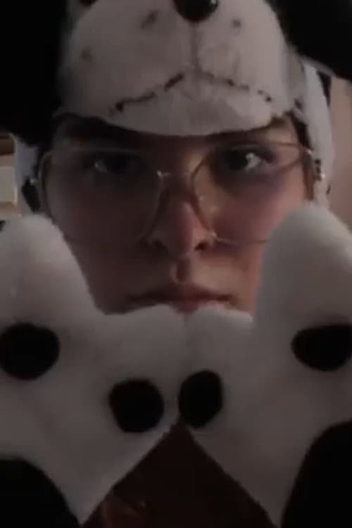 IL FURRY afişi
