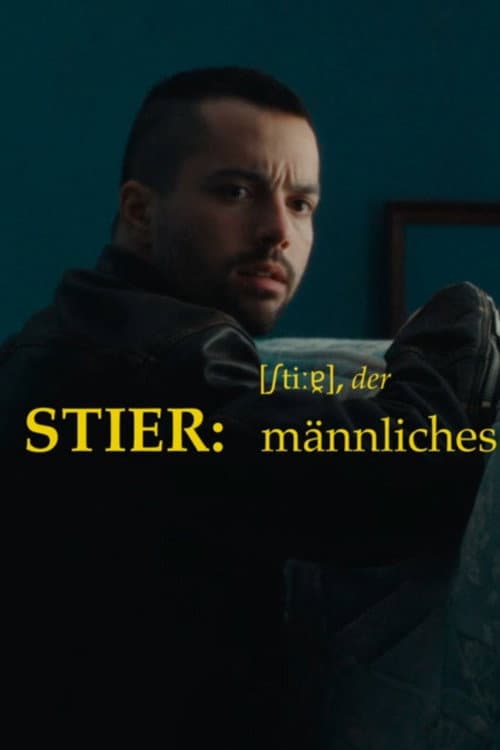 Stier afişi