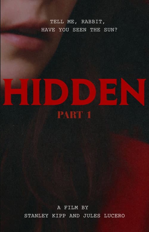 HIDDEN afişi