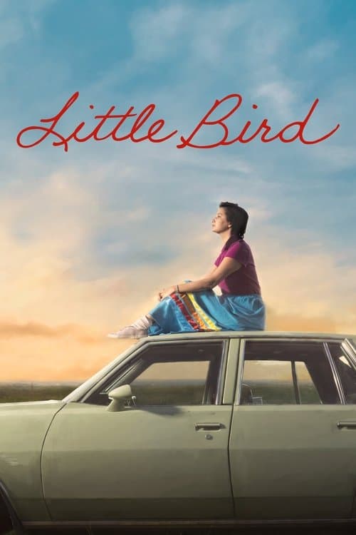 Little Bird afişi