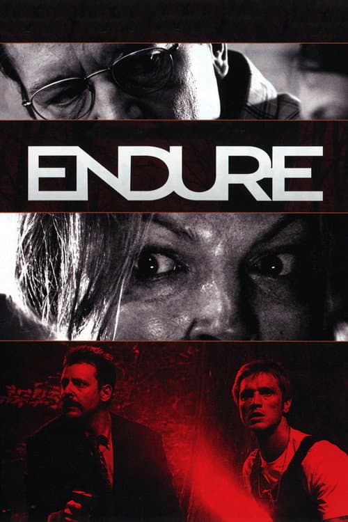 Endure afişi