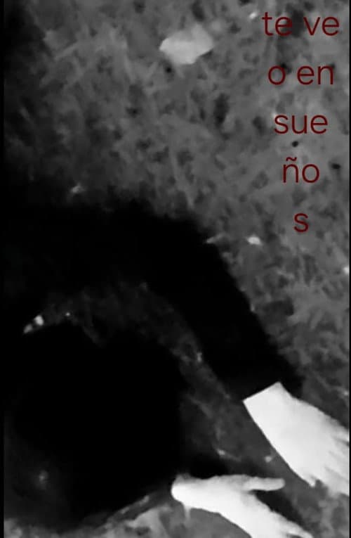 Te Veo en Sueños afişi