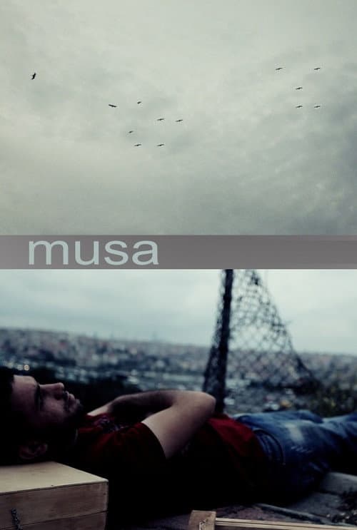 Musa afişi