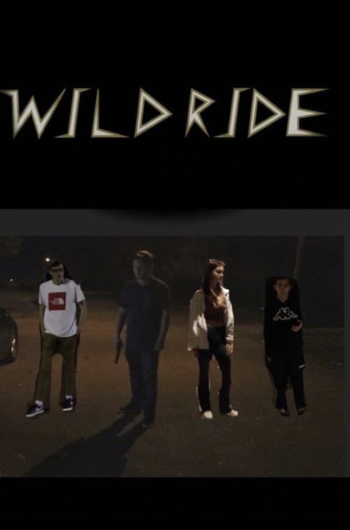 Wild Ride afişi