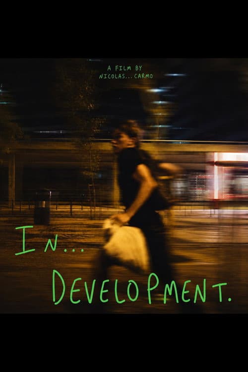 IN…DEVELOPMENT afişi