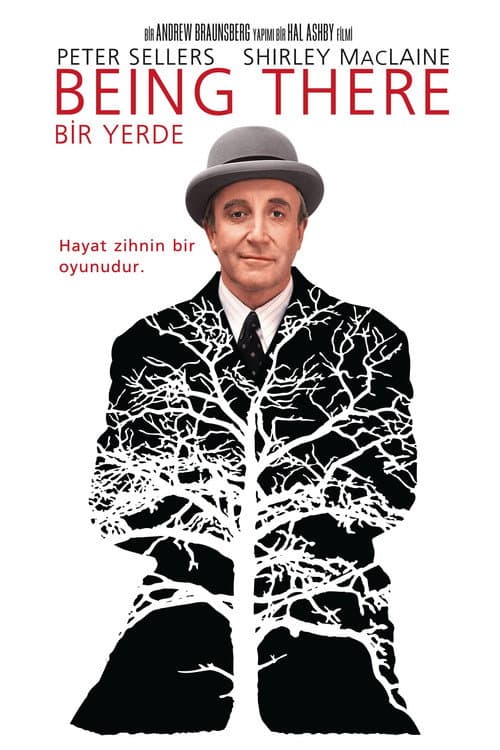 Bir Yerde afişi