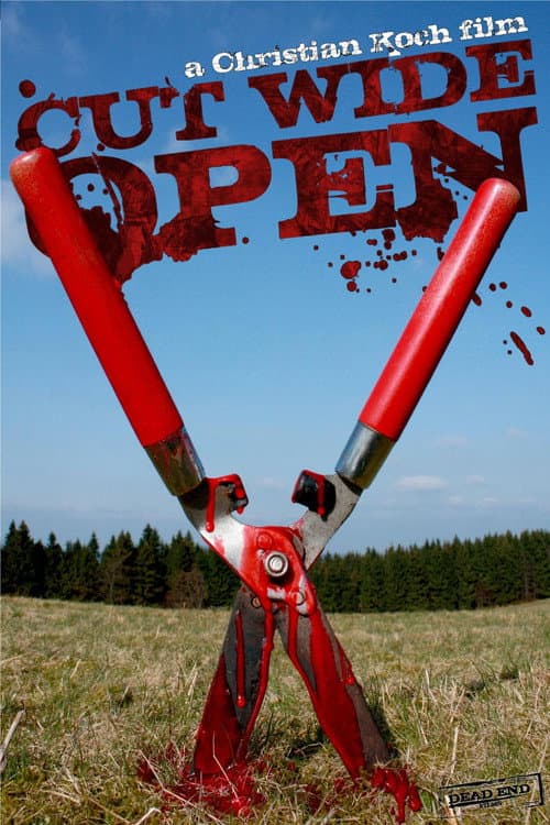 Cut Wide Open afişi