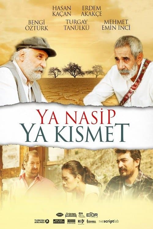 Ya Nasip Ya Kısmet afişi