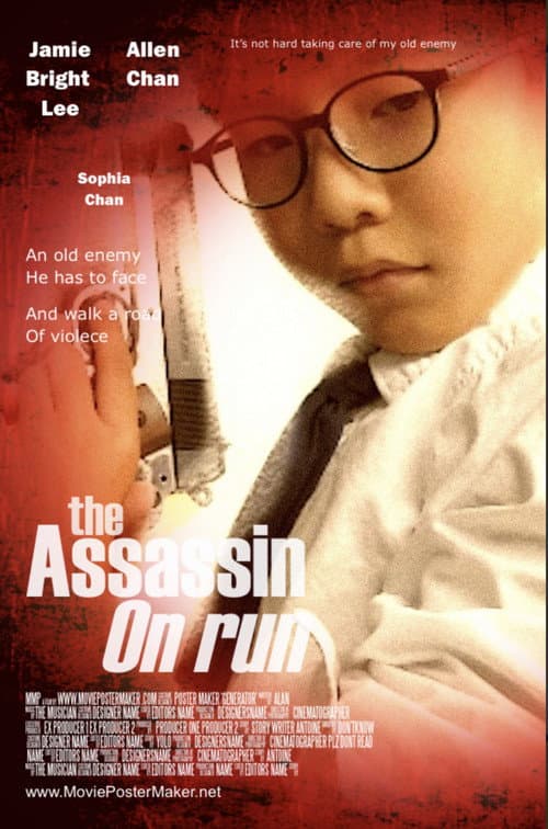 The Assassin on run afişi