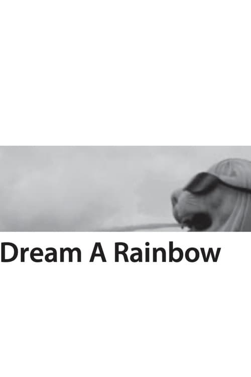 Dream A Rainbow afişi