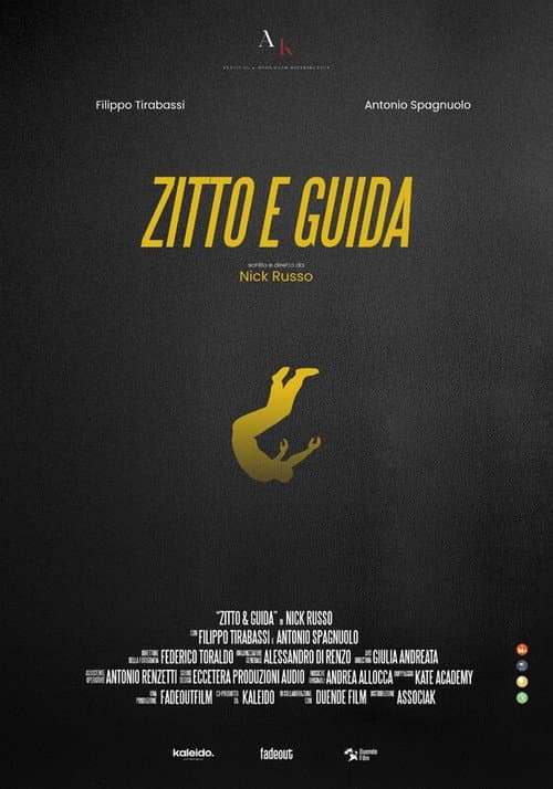 Zitto e guida afişi