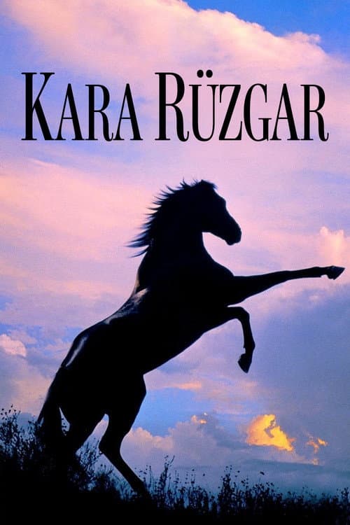 Kara Rüzgar afişi