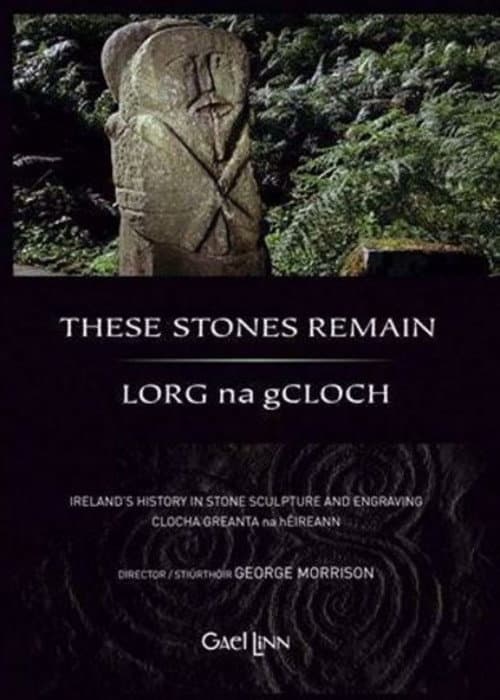 These Stones Remain afişi