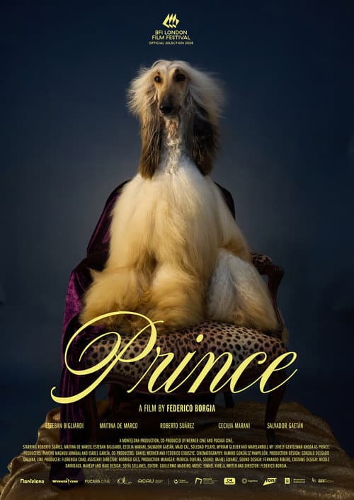 Prince afişi
