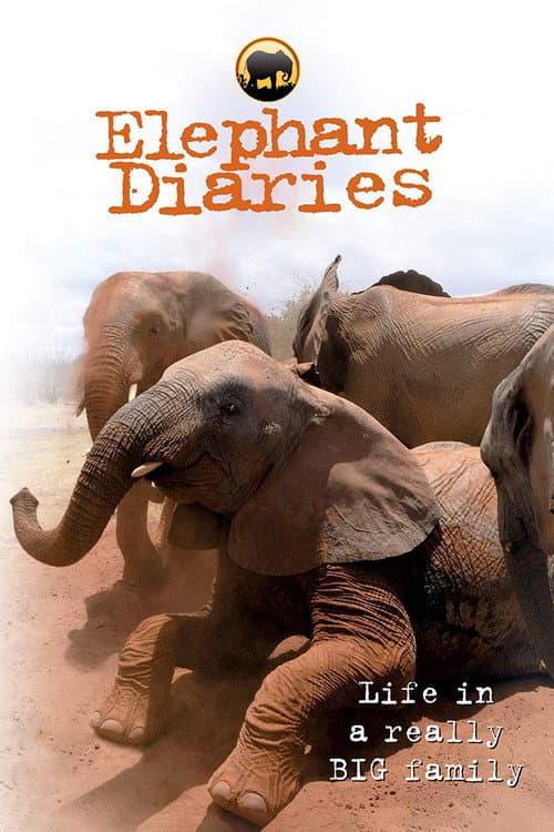Elephant Diaries afişi