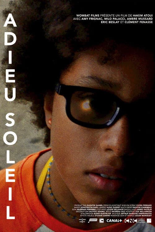 Adieu soleil afişi
