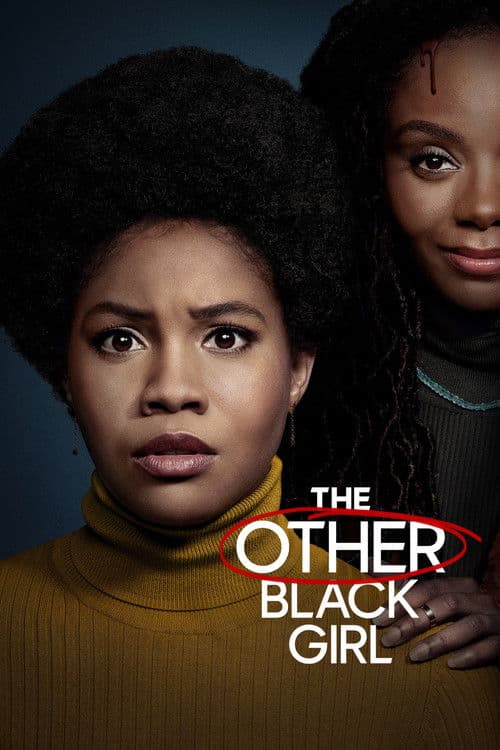 The Other Black Girl afişi