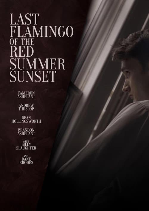 Last Flamingo of the Red Summer Sunset afişi