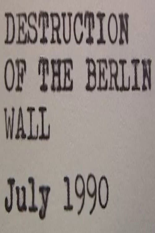 Destruction of the Berlin Wall afişi