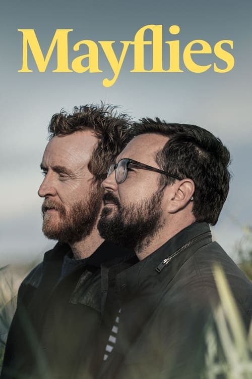 Mayflies afişi