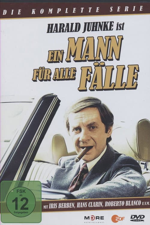 Ein Mann für alle Fälle afişi