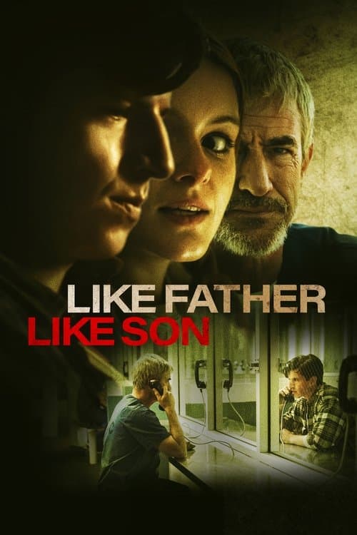 Like Father Like Son afişi