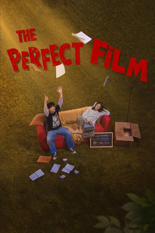 The Perfect Film afişi