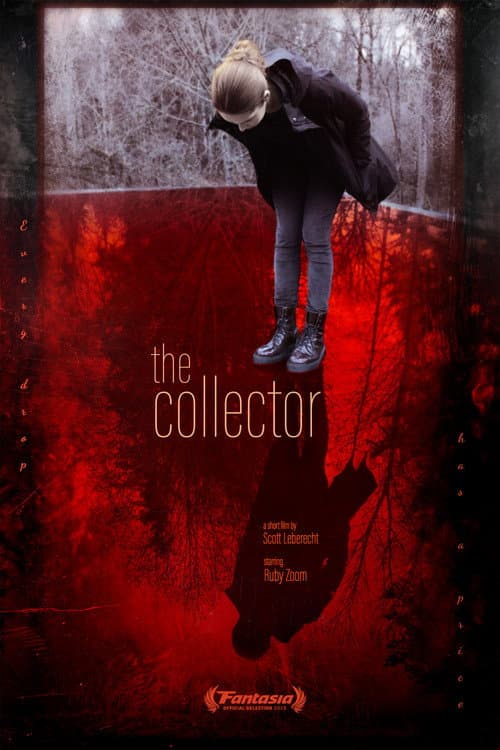 The Collector afişi