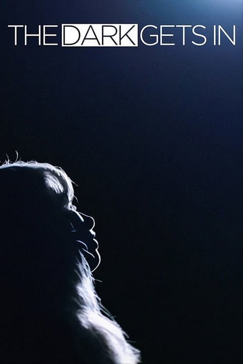 The Dark Gets In afişi
