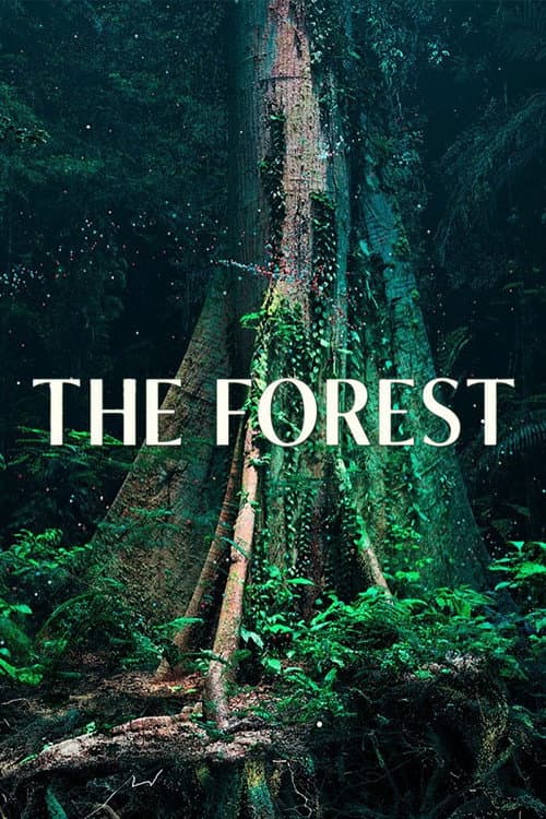 The Forest afişi