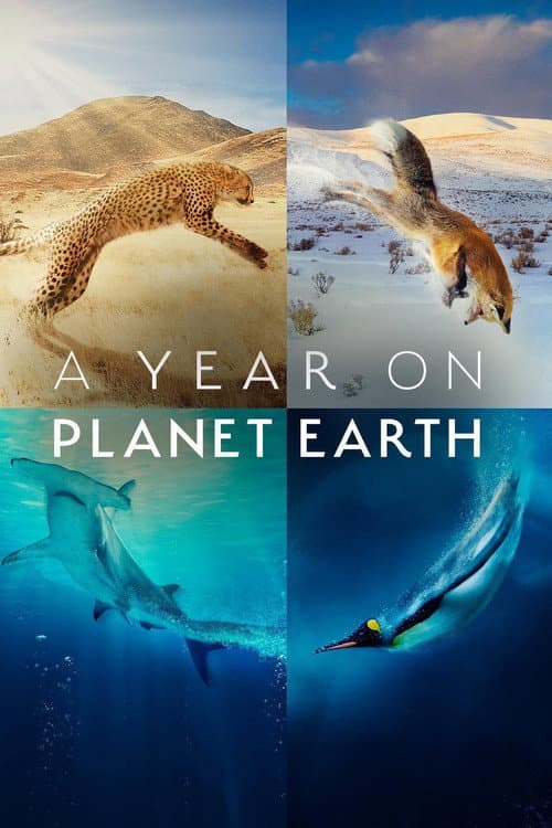 A Year on Planet Earth afişi