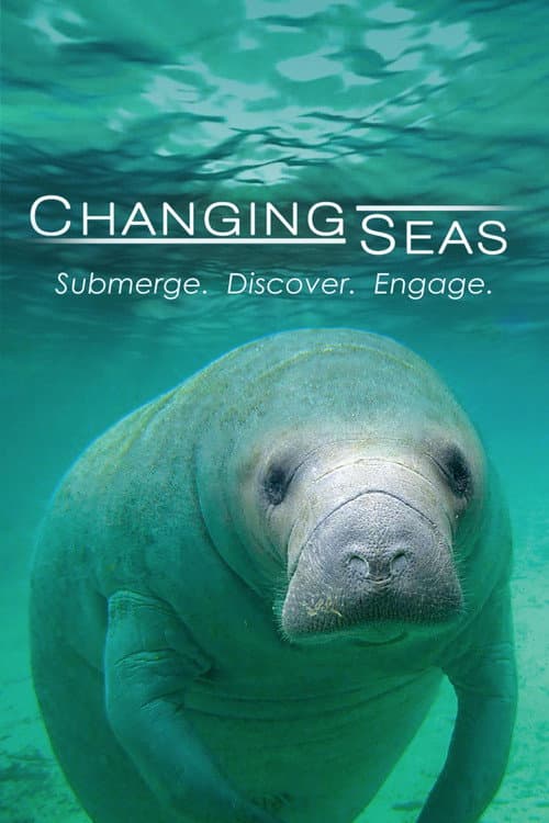 Changing Seas afişi