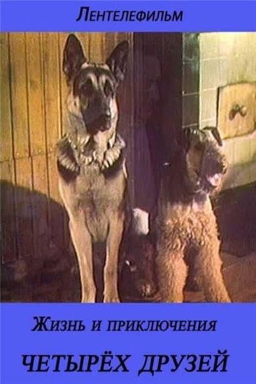 The Life and Adventures of Four Friends 3/4 afişi