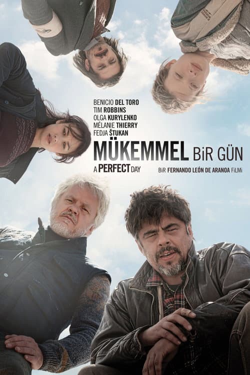 Mükemmel Bir Gün afişi
