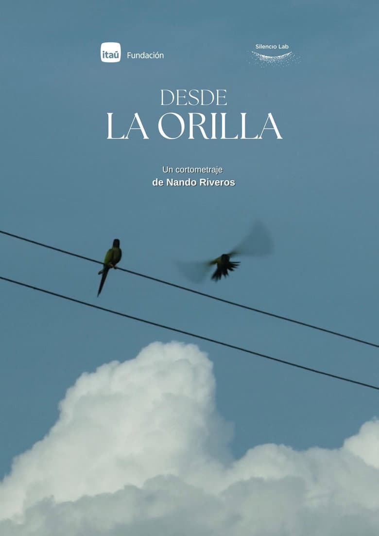 Desde la Orilla