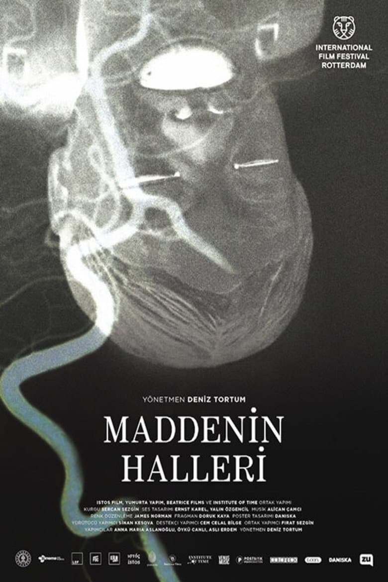 Maddenin Halleri
