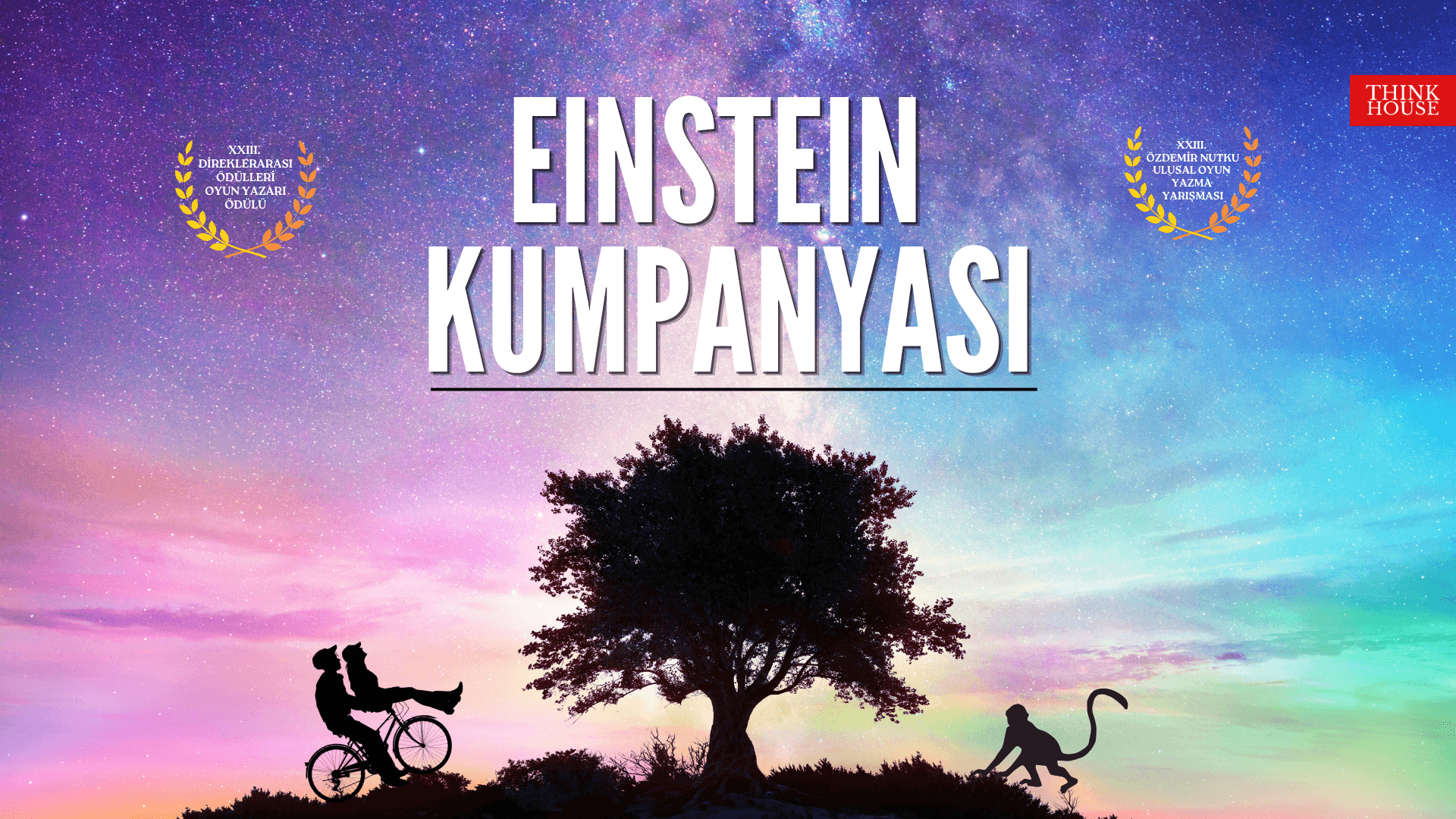 Einstein Kumpanyası