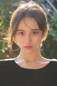 Wei Wenqing