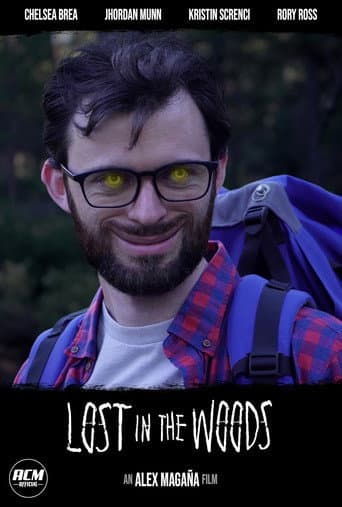 Lost in the Woods afişi
