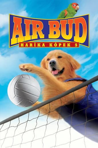 Harika Köpek 5 afişi