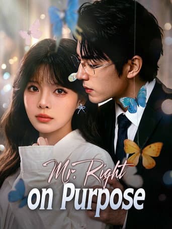 Mr. Right on Purpose afişi