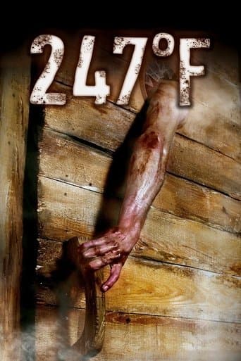 247°F afişi